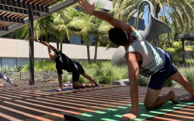 Choosing a Gym in Santa Monica: 7 Things That Matter (So You Don’t Quit)